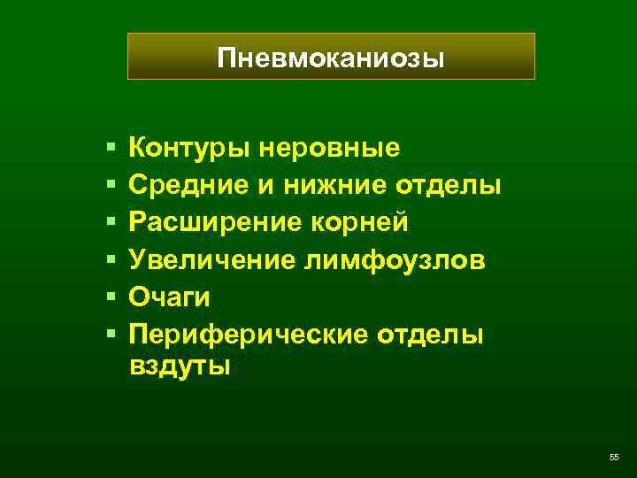 Пневмоканиозы § § § Контуры неровные Средние и нижние отделы Расширение корней Увеличение лимфоузлов