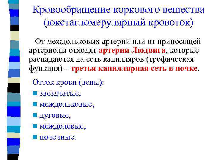Кровообращение коркового вещества (юкстагломерулярный кровоток) От междольковых артерий или от приносящей артериолы отходят артерии