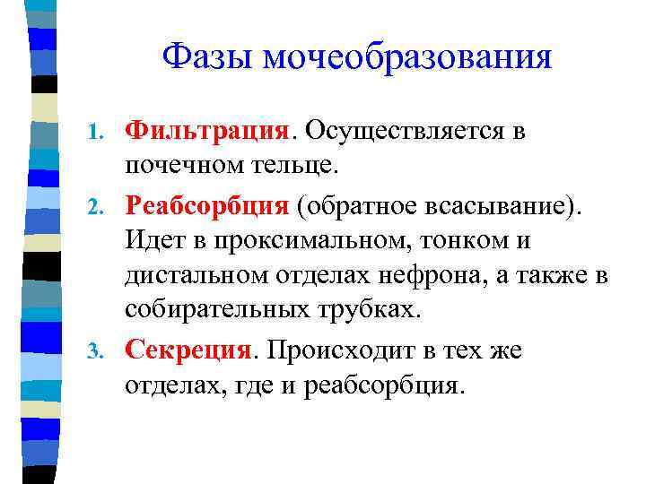 Фазы мочеобразования Фильтрация. Осуществляется в почечном тельце. 2. Реабсорбция (обратное всасывание). Идет в проксимальном,