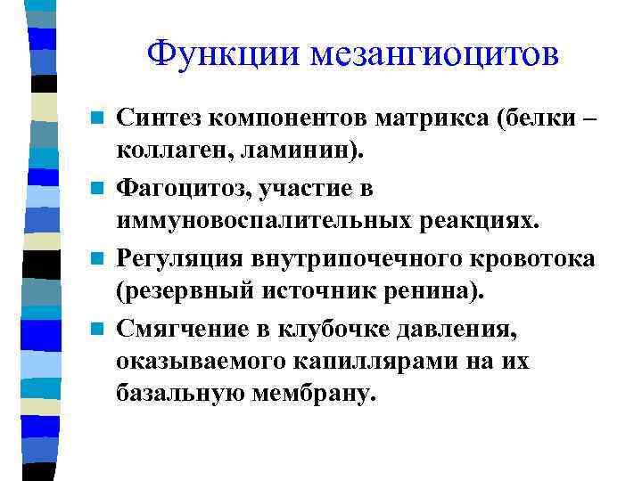 Функции мезангиоцитов Синтез компонентов матрикса (белки – коллаген, ламинин). n Фагоцитоз, участие в иммуновоспалительных