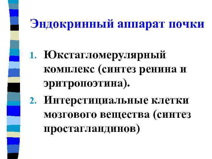 Эндокринный аппарат почки Юкстагломерулярный комплекс (синтез ренина и эритропоэтина). 2. Интерстициальные клетки мозгового вещества