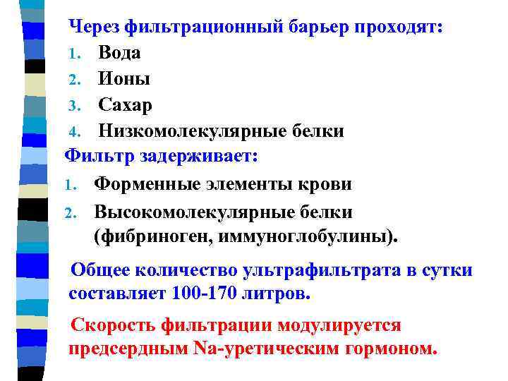 Через фильтрационный барьер проходят: 1. Вода 2. Ионы 3. Сахар 4. Низкомолекулярные белки Фильтр