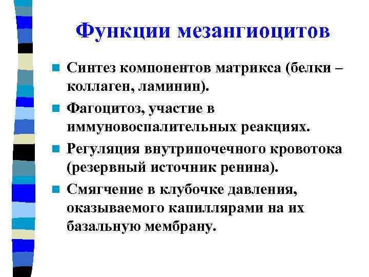 Функции мезангиоцитов Синтез компонентов матрикса (белки – коллаген, ламинин). n Фагоцитоз, участие в иммуновоспалительных