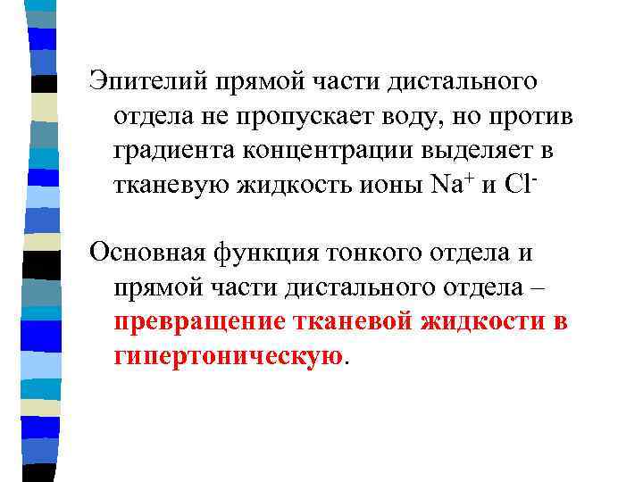 Эпителий прямой части дистального отдела не пропускает воду, но против градиента концентрации выделяет в