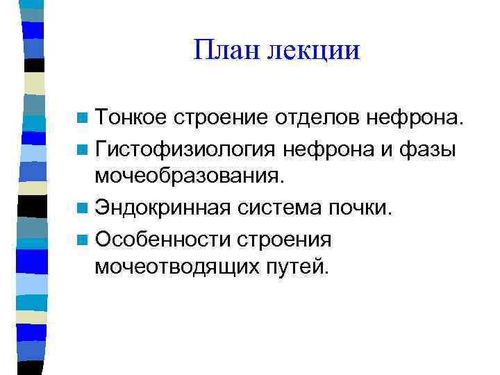 План лекции n Тонкое строение отделов нефрона. n Гистофизиология нефрона и фазы мочеобразования. n