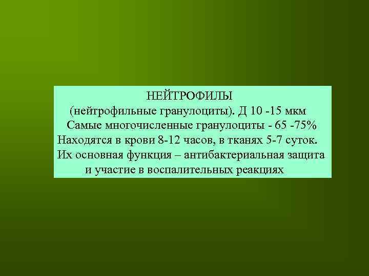 НЕЙТРОФИЛЫ (нейтрофильные гранулоциты). Д 10 -15 мкм Самые многочисленные гранулоциты - 65 -75% Находятся