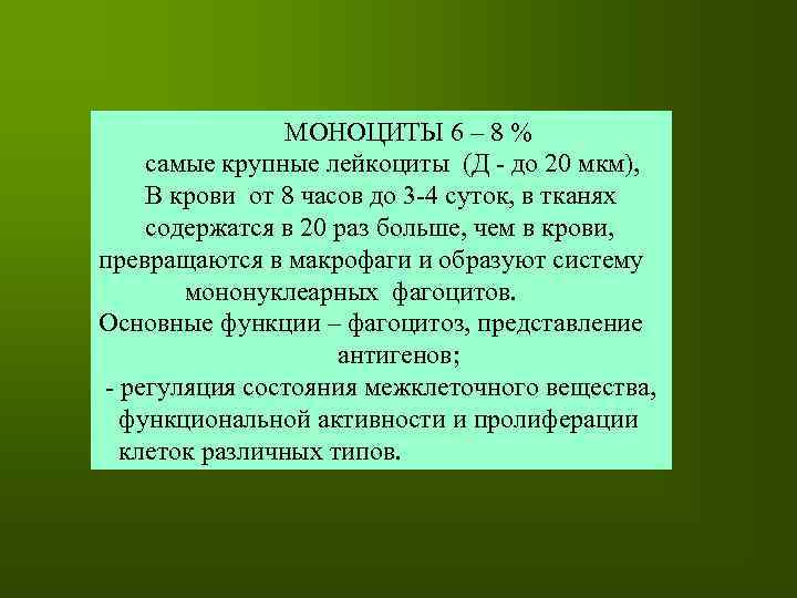 МОНОЦИТЫ 6 – 8 % самые крупные лейкоциты (Д - до 20 мкм), В