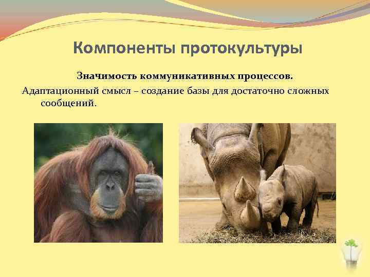 Компоненты протокультуры Значимость коммуникативных процессов. Адаптационный смысл – создание базы для достаточно сложных сообщений.