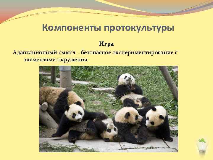 Компоненты протокультуры Игра Адаптационный смысл - безопасное экспериментирование с элементами окружения. 