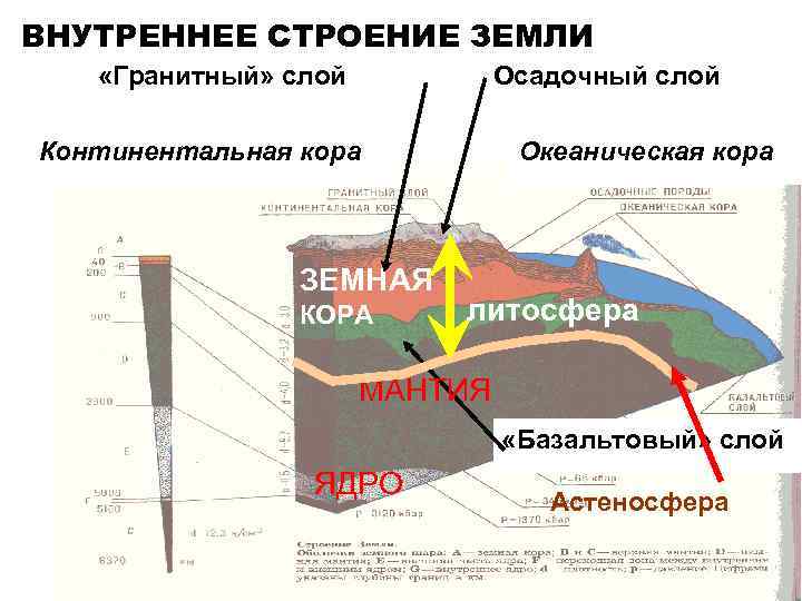 ВНУТРЕННЕЕ СТРОЕНИЕ ЗЕМЛИ «Гранитный» слой Осадочный слой Континентальная кора ЗЕМНАЯ КОРА Океаническая кора литосфера