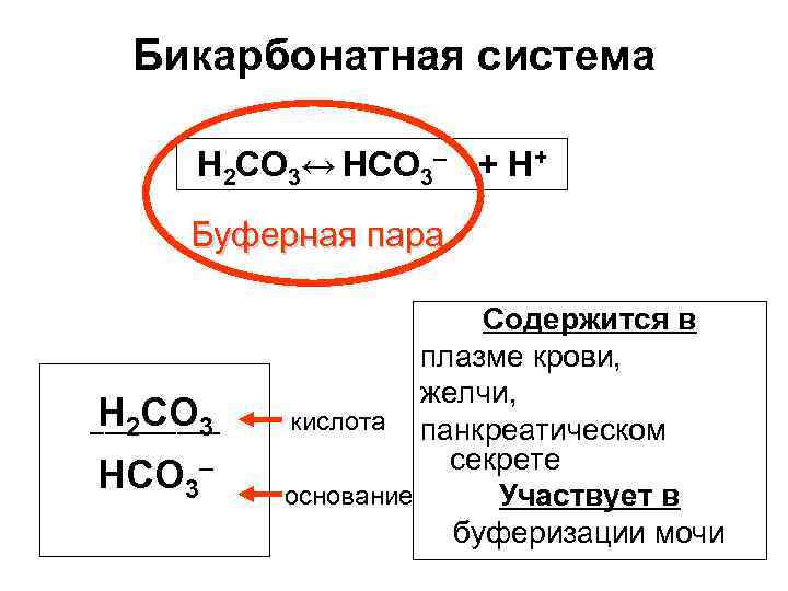 Бикарбонатный буфер схема