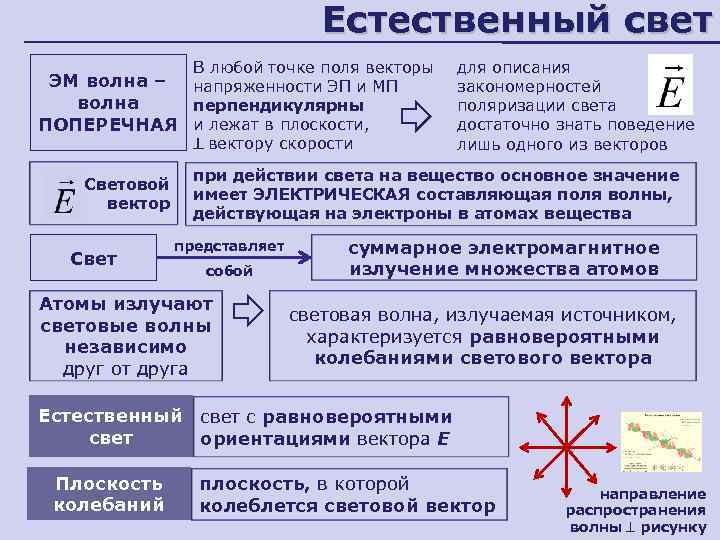 Естественный свет В любой точке поля векторы ЭМ волна – напряженности ЭП и МП