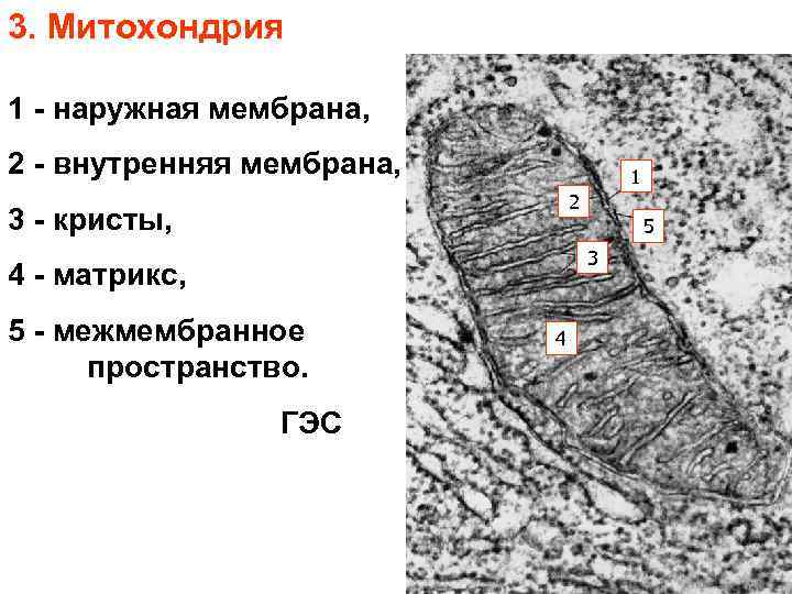 Как выделяются на диаграмме пс гранулярные коллекторы на месторождениях западной сибири