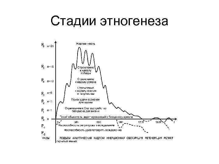 Стадии этногенеза 