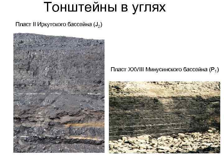 Тонштейны в углях Пласт II Иркутского бассейна (J 2) Пласт XXVIII Минусинского бассейна (P