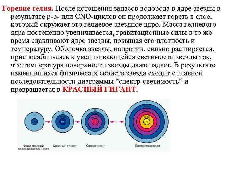 Горение гелия. После истощения запасов водорода в ядре звезды в результате р-р- или CNO-циклов