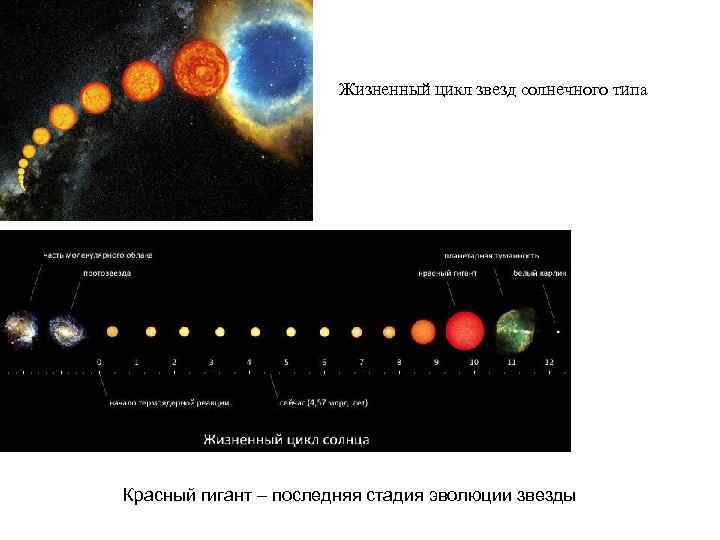 Жизненный цикл звезды схема