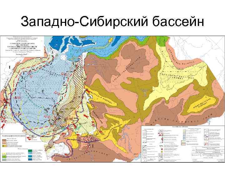 Западно сибирская низменность картинка