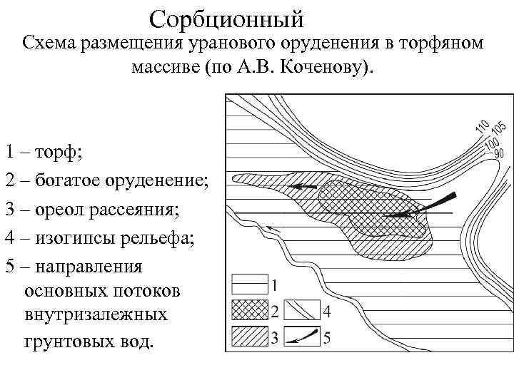 Сорбционный Схема размещения уранового оруденения в торфяном массиве (по А. В. Коченову). 1 –