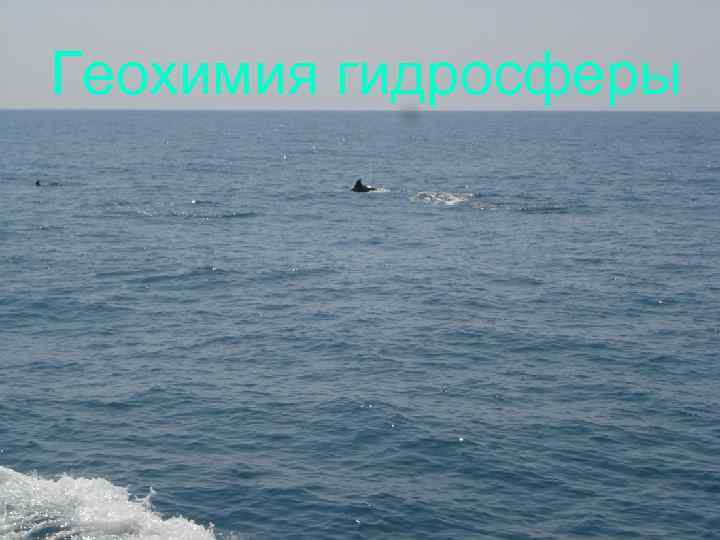 Геохимия гидросферы 