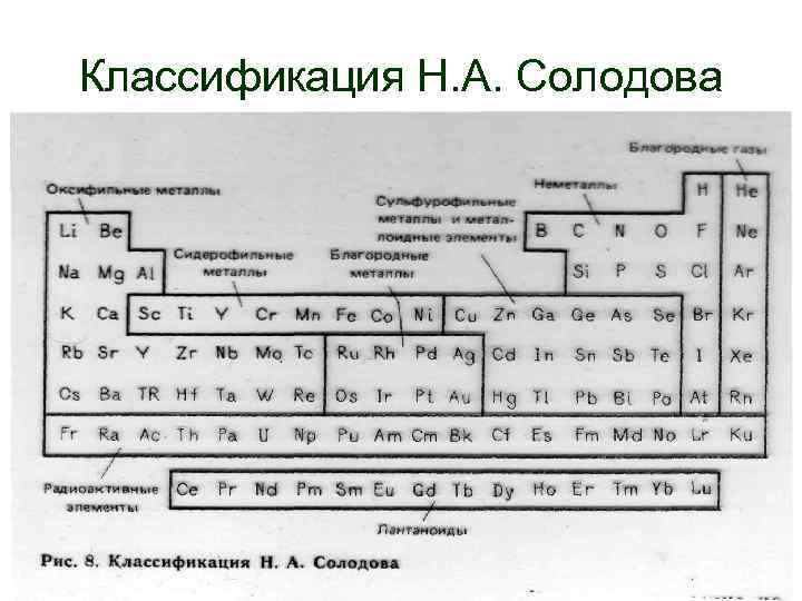Классификация Н. А. Солодова 