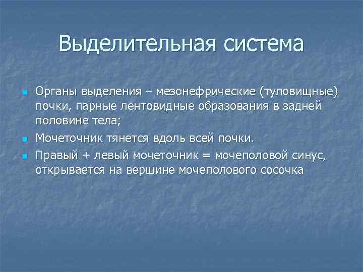 Выделительная система n n n Органы выделения – мезонефрические (туловищные) почки, парные лентовидные образования