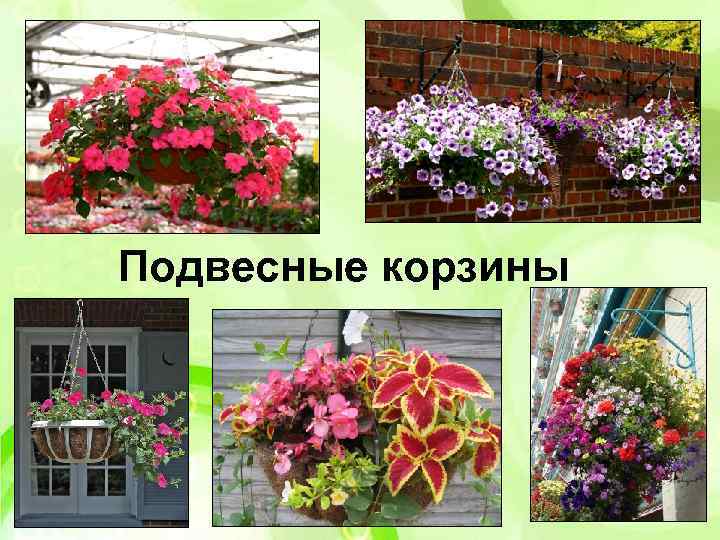 Подвесные корзины 