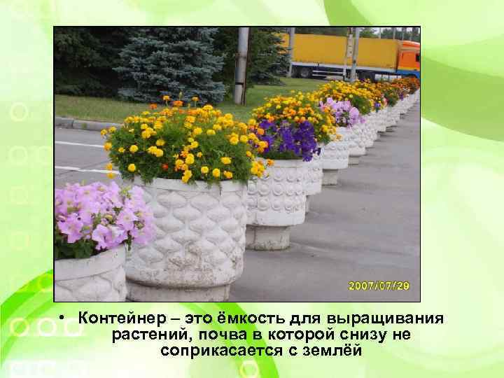  • Контейнер – это ёмкость для выращивания растений, почва в которой снизу не