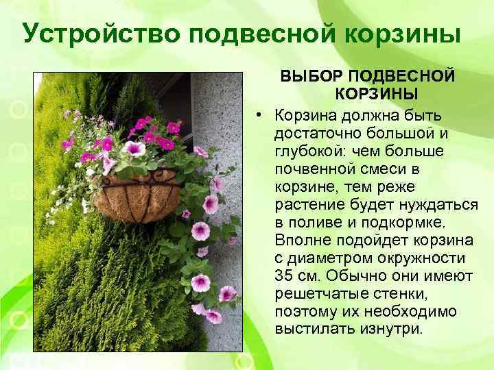 Устройство подвесной корзины ВЫБОР ПОДВЕСНОЙ КОРЗИНЫ • Корзина должна быть достаточно большой и глубокой: