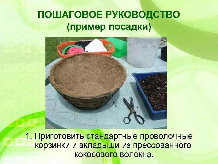ПОШАГОВОЕ РУКОВОДСТВО (пример посадки) 1. Приготовить стандартные проволочные корзинки и вкладыши из прессованного кокосового