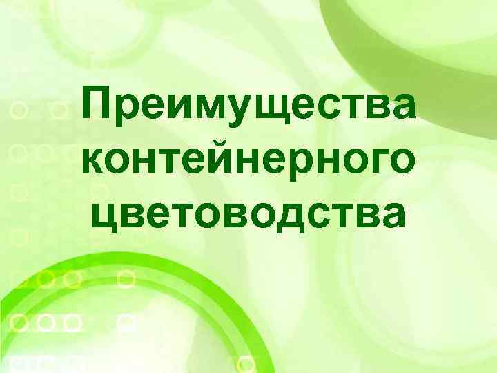 Преимущества контейнерного цветоводства 