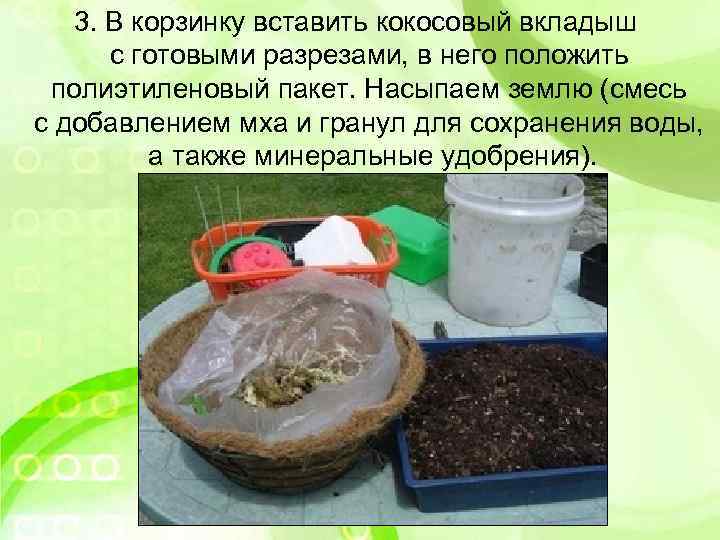 3. В корзинку вставить кокосовый вкладыш с готовыми разрезами, в него положить полиэтиленовый пакет.