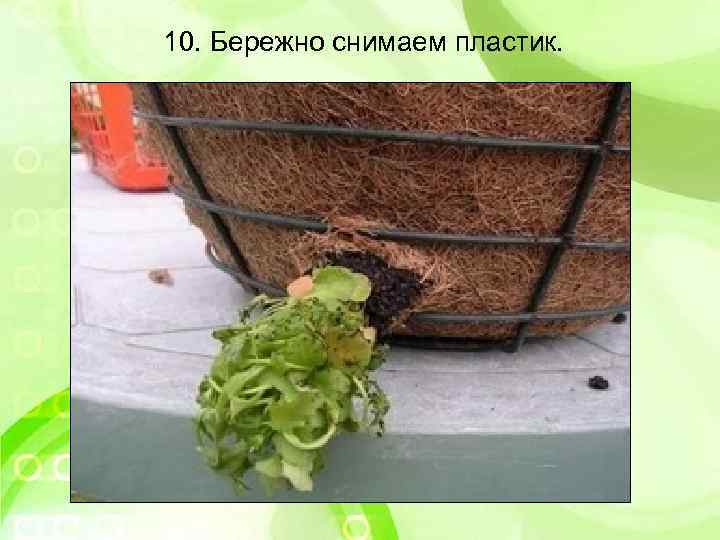 10. Бережно снимаем пластик. 