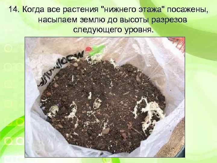 14. Когда все растения 