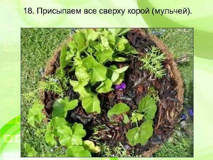 18. Присыпаем все сверху корой (мульчей). 