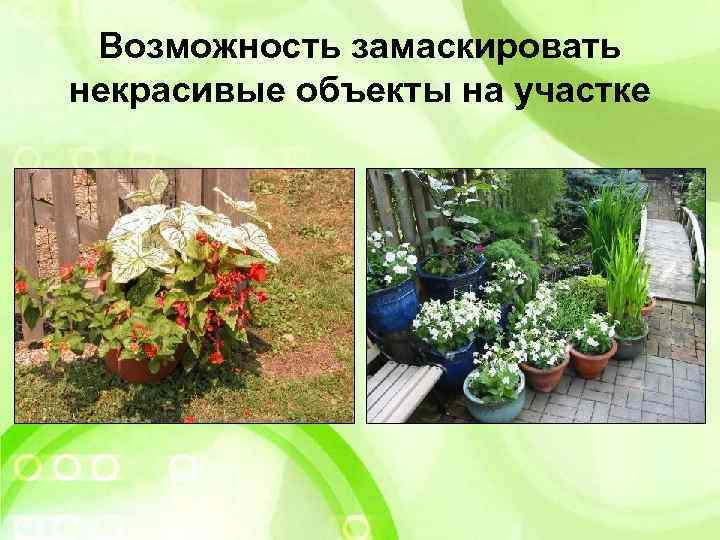 Возможность замаскировать некрасивые объекты на участке 