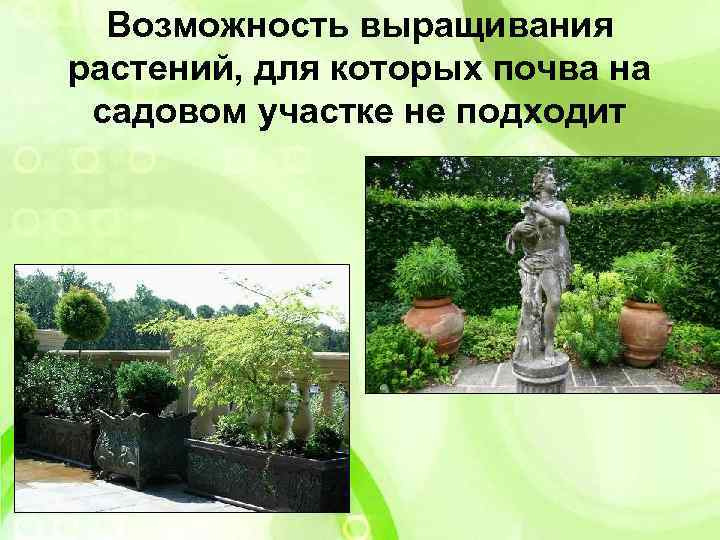 Возможность выращивания растений, для которых почва на садовом участке не подходит 