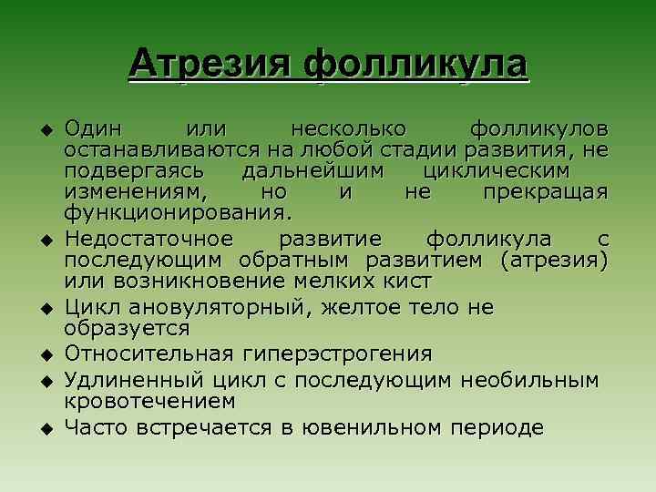 Атрезия фолликула u u u Один или несколько фолликулов останавливаются на любой стадии развития,