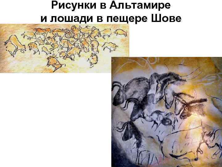 Рисунки в Альтамире и лошади в пещере Шове 