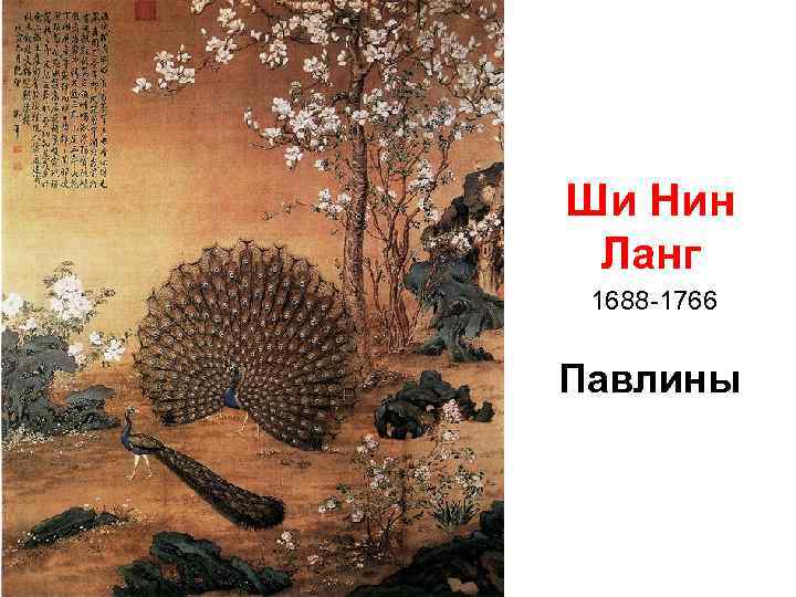 Ши Нин Ланг 1688 -1766 Павлины 