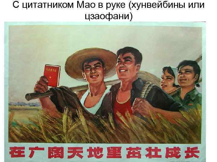 С цитатником Мао в руке (хунвейбины или цзаофани) 
