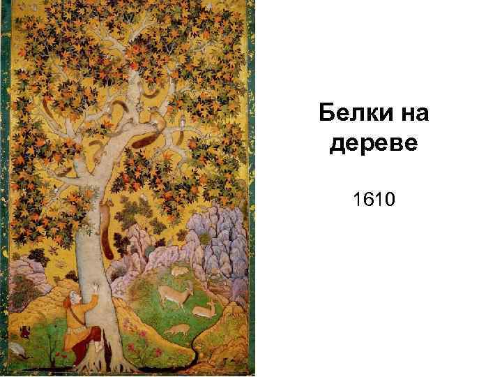 Белки на дереве 1610 