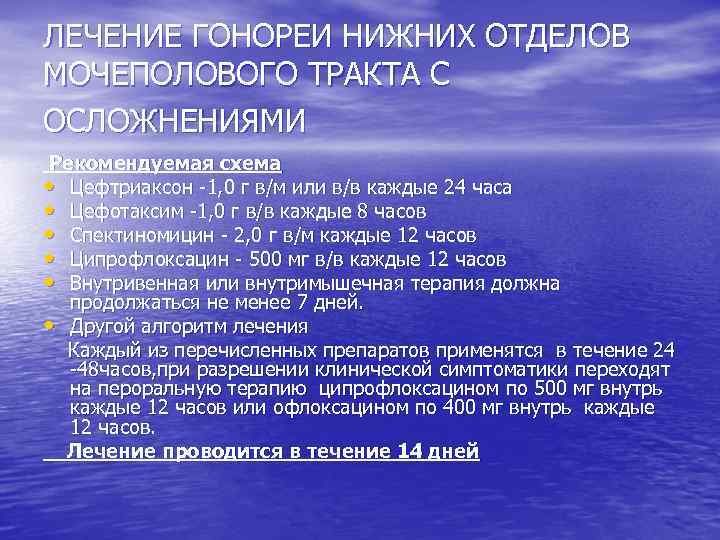 ЛЕЧЕНИЕ ГОНОРЕИ НИЖНИХ ОТДЕЛОВ МОЧЕПОЛОВОГО ТРАКТА С ОСЛОЖНЕНИЯМИ Рекомендуемая схема • Цефтриаксон 1, 0