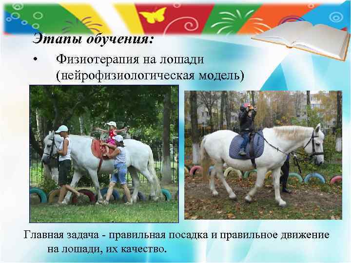 Этапы обучения: • Физиотерапия на лошади (нейрофизиологическая модель) Главная задача - правильная посадка и