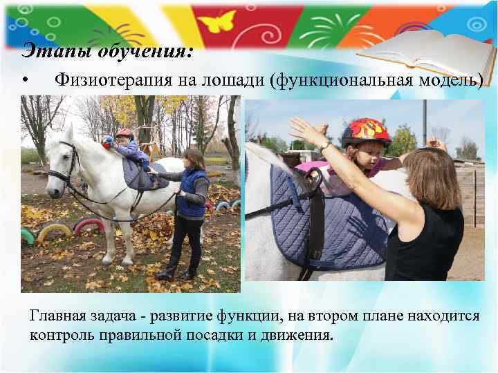 Этапы обучения: • Физиотерапия на лошади (функциональная модель) Главная задача - развитие функции, на