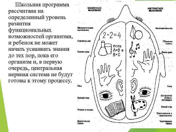 Школьная программа рассчитана на определенный уровень развития функциональных возможностей организма, и ребенок не может