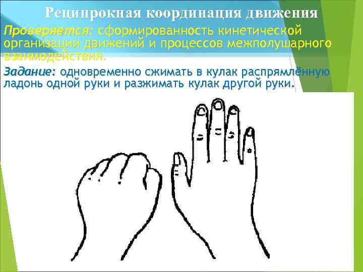 Реципрокная координация движения Проверяется: сформированность кинетической организации движений и процессов межполушарного взаимодействия. Задание: одновременно