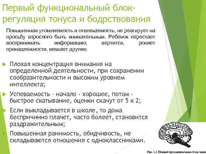 Первый функциональный блокрегуляция тонуса и бодрствования Повышенная утомляемость и отвлекаемость, не реагирует на просьбу