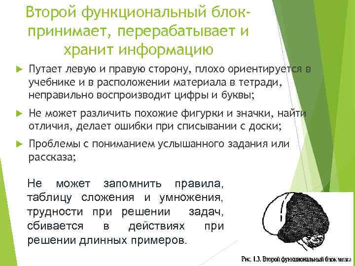 Второй функциональный блокпринимает, перерабатывает и хранит информацию Путает левую и правую сторону, плохо ориентируется