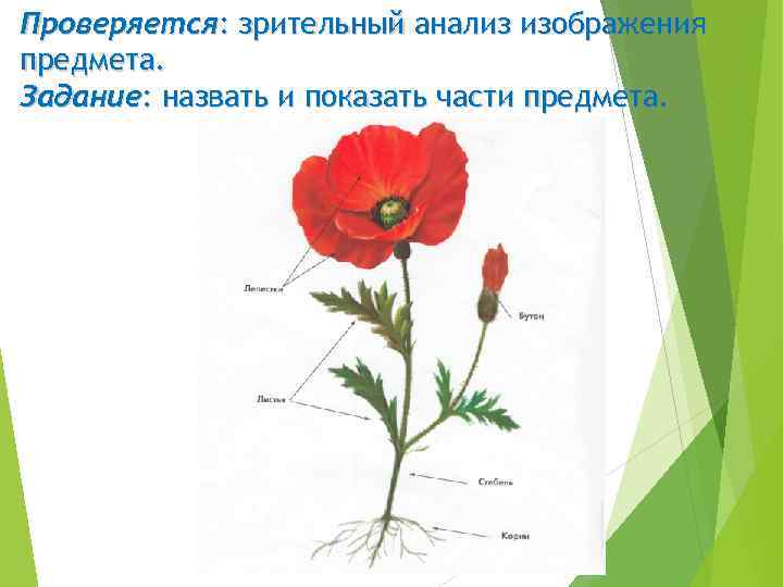 Проверяется: зрительный анализ изображения предмета. Задание: назвать и показать части предмета. 